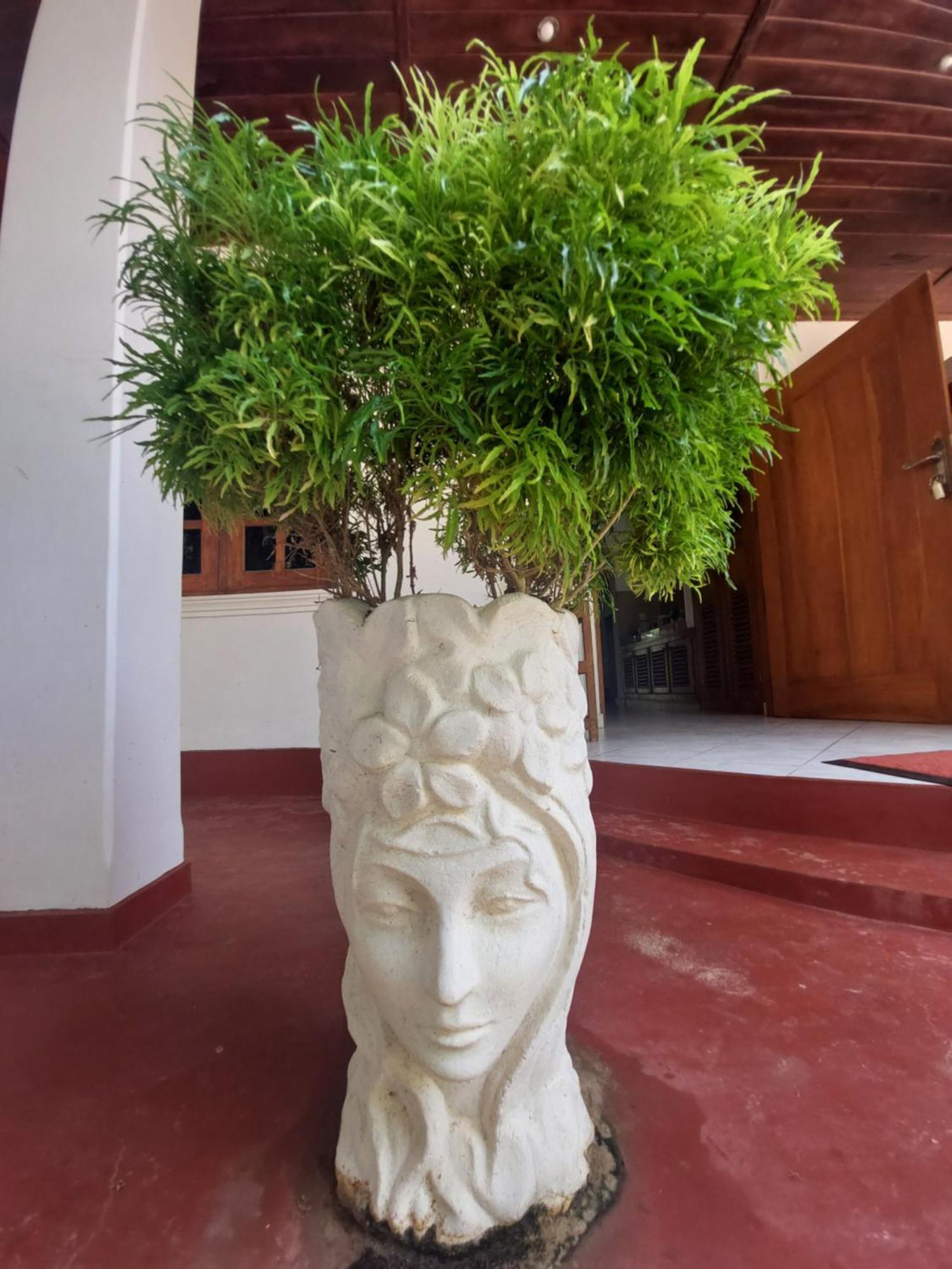 Villa Czech House à Tangalle Extérieur photo